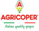 AGRICOPER DI GIANNI LITURRI SRL